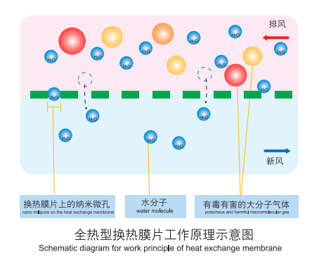 膜片工作原理.png
